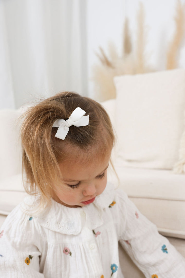 Boucles à cheveux sur pince - Fêtes